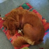 User avatar for Adrian Mawdsley