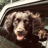 User avatar for Brendan Haren