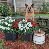 User avatar for Becky Anderson