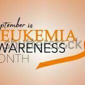 User avatar for Bill Nolan