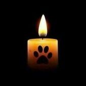 User avatar for Heaven Zeh