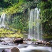 User avatar for Shireia Love