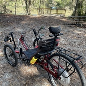 User avatar for Robert Bailey