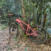 User avatar for Tara Millgate