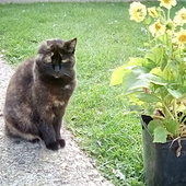 User avatar for Elizabeth Rhodes