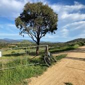 User avatar for Jennifer Dixon