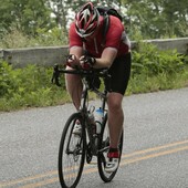 User avatar for Casey Evans