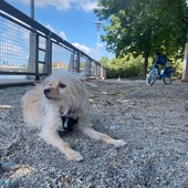 User avatar for Lorena Teixeira