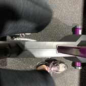 User avatar for Ann Caren