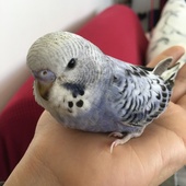 User avatar for Maggie Zhang