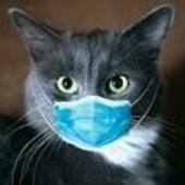 User avatar for Sha Nichols