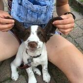 User avatar for Diane Nicholsby