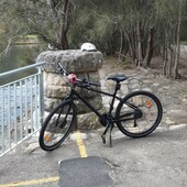 User avatar for Tash T