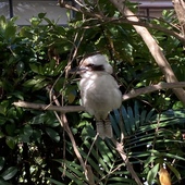 User avatar for Kristin Procter