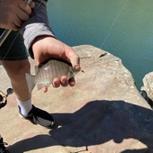 User avatar for Gavin Ruffell