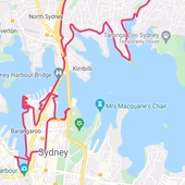 User avatar for Suzanne Cengia