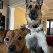 User avatar for Joshua Riddle