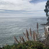 User avatar for Anya B