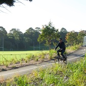 User avatar for Reza Ahmed