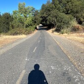 User avatar for Jeremy A.