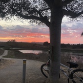 User avatar for Myriam Maldonado