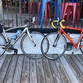 User avatar for Armando Sequeira