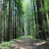 User avatar for Valeria Foxworthy