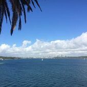 User avatar for Yue Lin Trofa