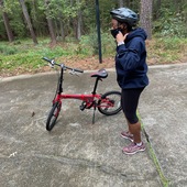 User avatar for Linn Lanesse