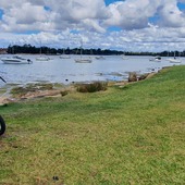 User avatar for Barbara Bryan