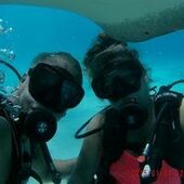 User avatar for Adam Taylor