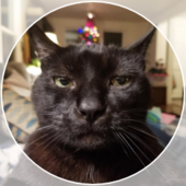 User avatar for Jason Matsumoto