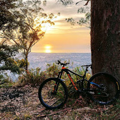 User avatar for Brett Monkman