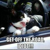 User avatar for Dana Godfrey