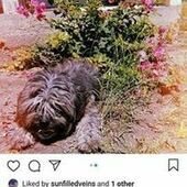 User avatar for Libra Rich