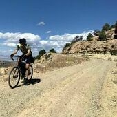 User avatar for Mike Muller