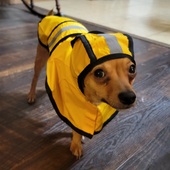 User avatar for Denise Emmett