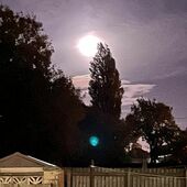 User avatar for Elizabeth Bandeen