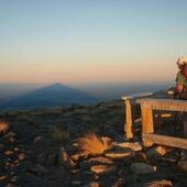 User avatar for Jane Neale