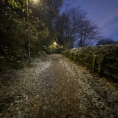 User avatar for David Mitchell