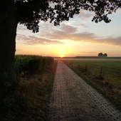 User avatar for Wim Kamp