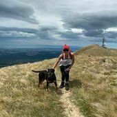 User avatar for Denise Clark