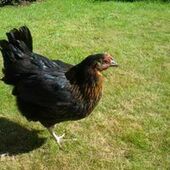 User avatar for Cat Holdcraft