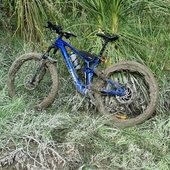 User avatar for Owen Witheford