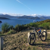 User avatar for Teleri Meacheam