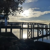 User avatar for Angeline Gower