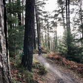 User avatar for Aigerim Saken