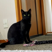 User avatar for Michelle Fitz Patrick