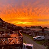 User avatar for Amanda Rau