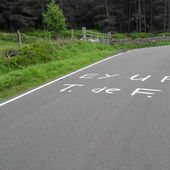 User avatar for Terry Padget